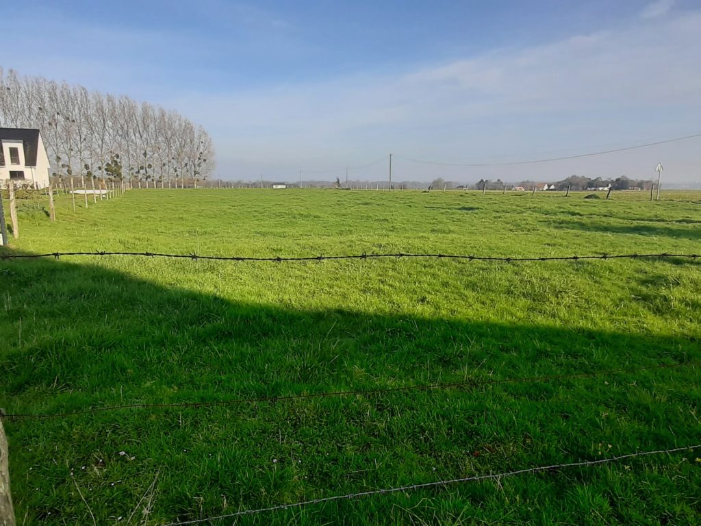 SAINT-PIERRE DE-VARENGEVILLE - 