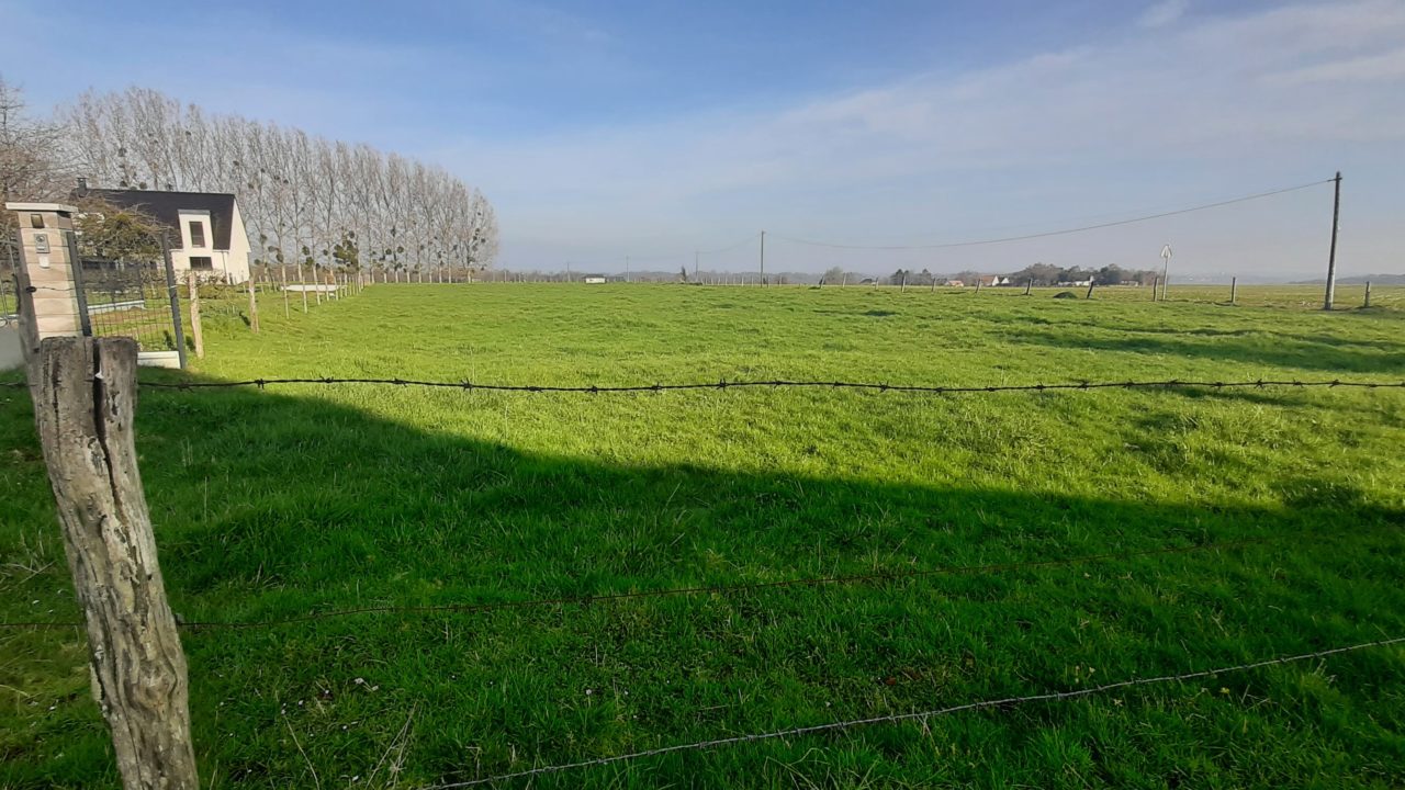 SAINT-PIERRE DE-VARENGEVILLE - 